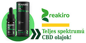  <strong>» REAKIRO</strong>