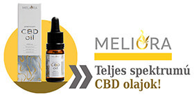  <strong>» MELIORA</strong>