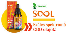  <strong>» REAKIRO Sool</strong>