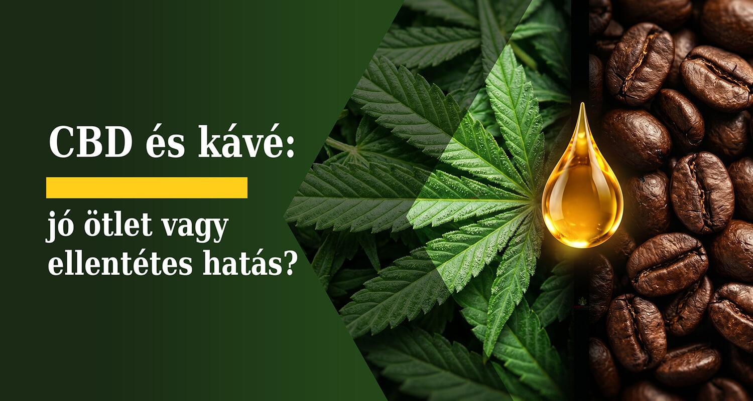 » CBD és kávé: jó ötlet vagy ellentétes hatás?