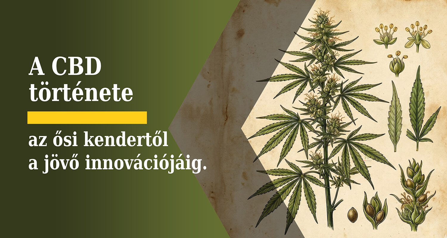 » A CBD története az ősi kendertől a jövő innovációjáig.