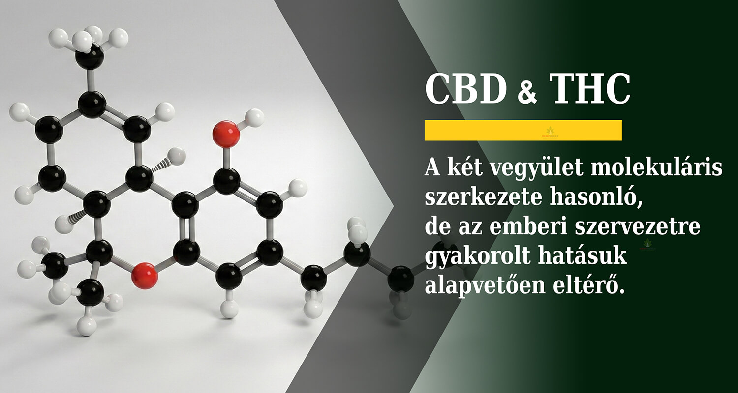 A CBD és THC molekuláris szerkezete hasonló, de az emberi szervezetre gyakorolt hatásuk alapvetően eltérő.