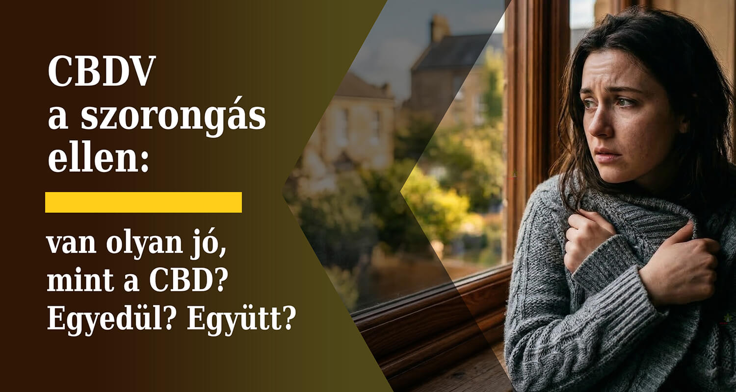 » CBDV a szorongás ellen: van olyan jó, mint a CBD? Egyedül? Együtt?